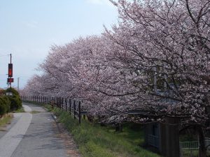 社長ブログスタート