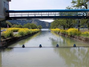 花・花・花