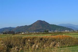 山本山のおばあちゃん🐦