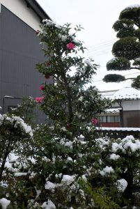 寒波襲来・・・初雪⛄