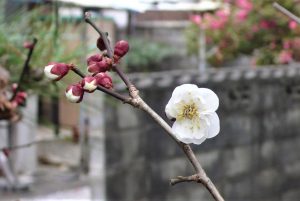 東日本大震災・・１０年・・・