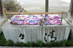 水無月☂6月・・・今年も半分終了