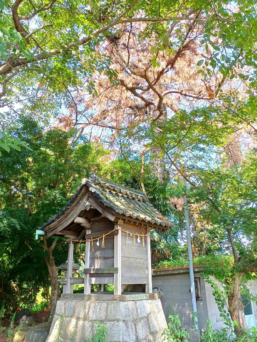 「老松」伐倒で風景変わる