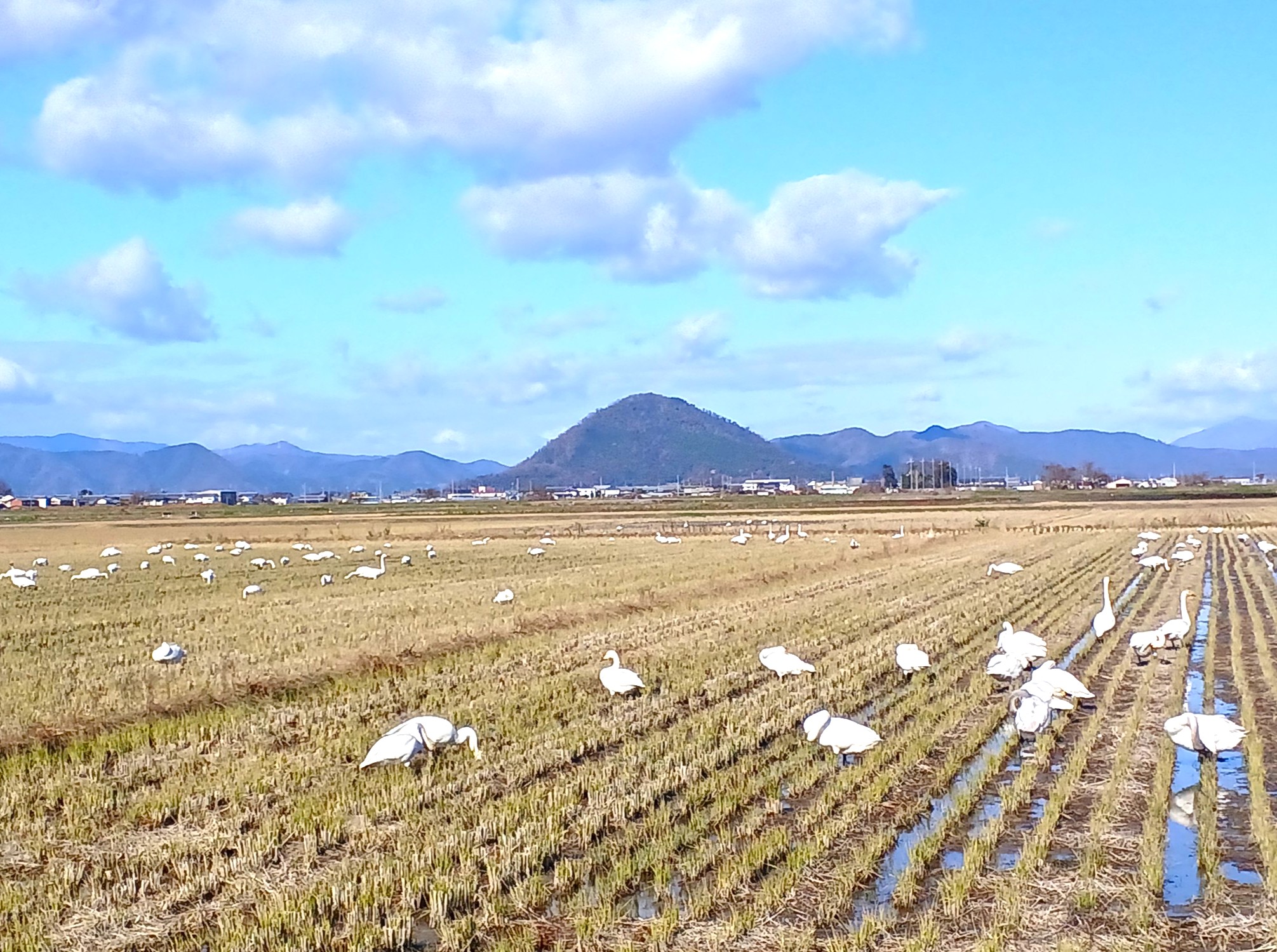 ブラッド・メルドーとエリオット・スミス🎵