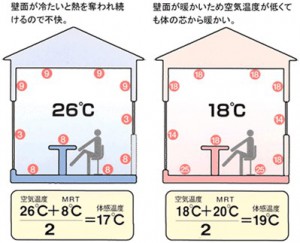 表面温度と不快指数