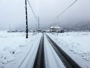 雪がおりてきました