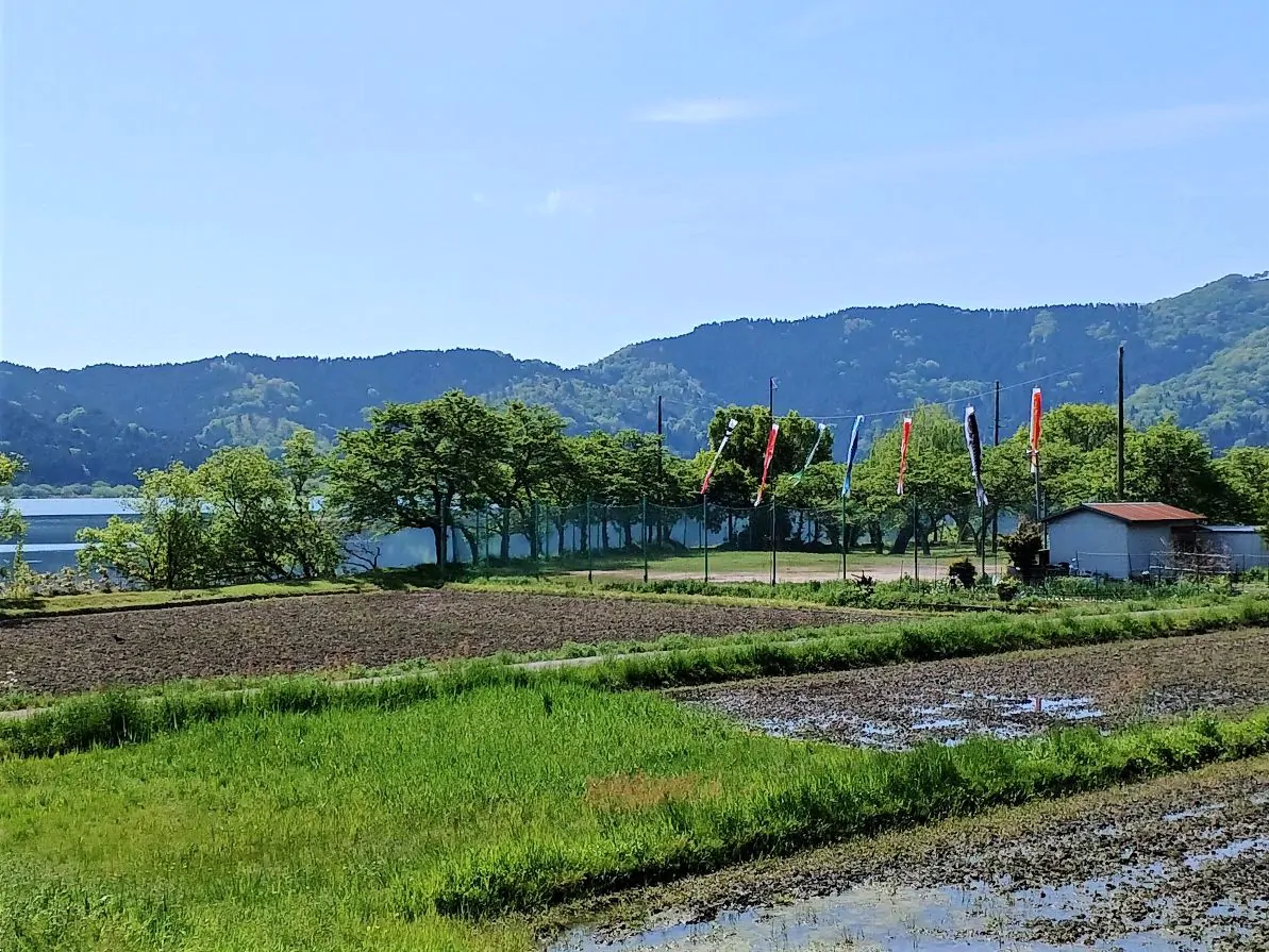 ゴールデンウイーク🎏
